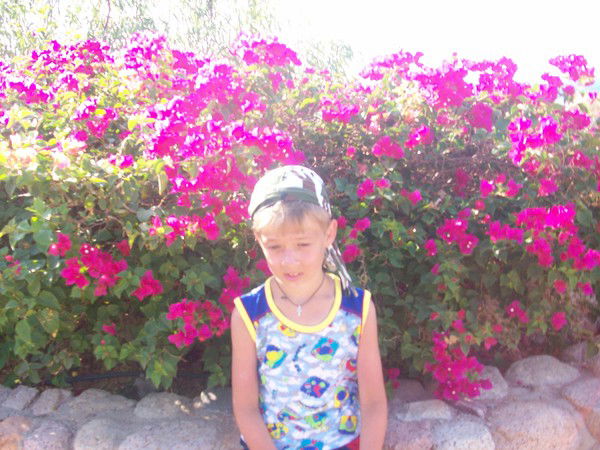 Антон Никитин