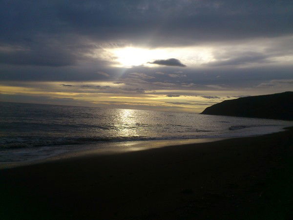 Алексей Васильев