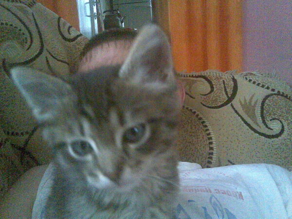 Алексей Шамов