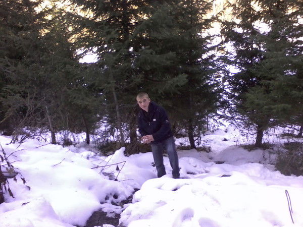 Александр Медведев