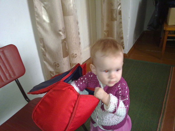 Василий Подгорный