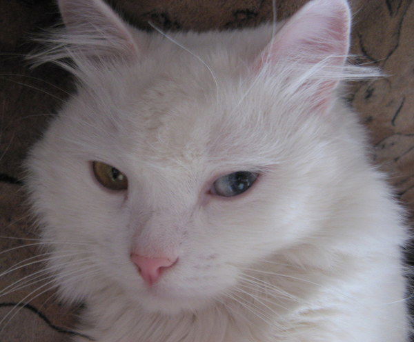 Александра Тулина