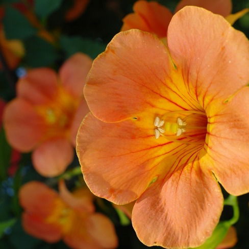 Акма Жолдасбекова