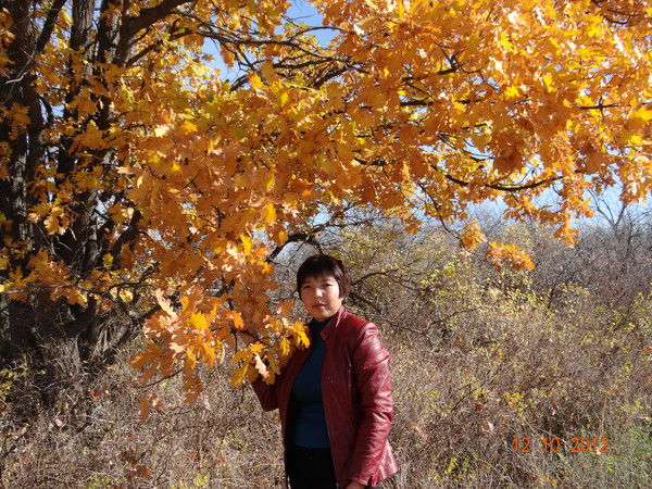 Кумис Кузбагарова