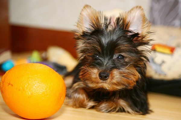 Татьяна Пономарёва