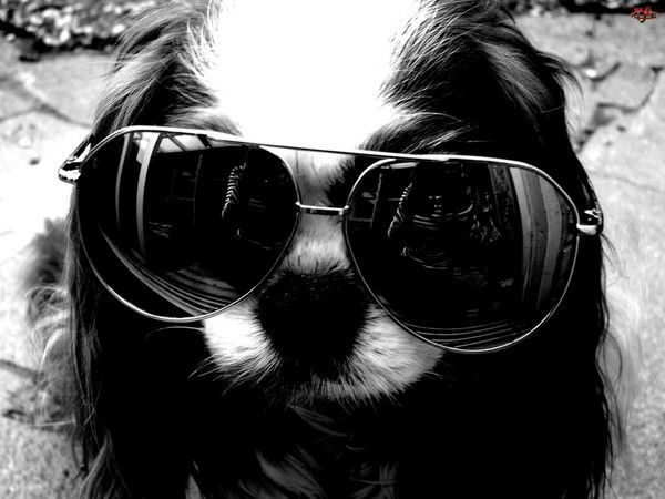 Лиза Иминова