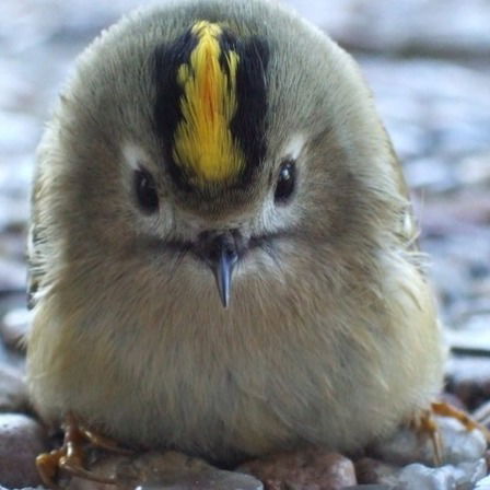 Ильхам Юсибов