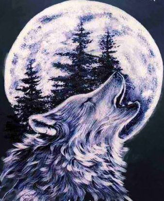 Валера Франчук