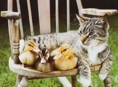 Екатерина Василькова