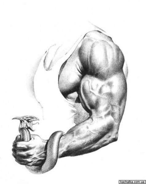 Бекишев Евгений