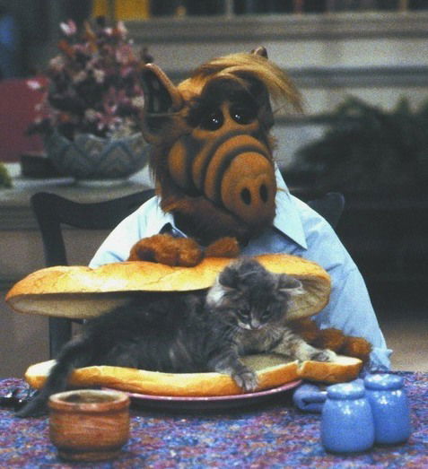 Игорь Шпаковский