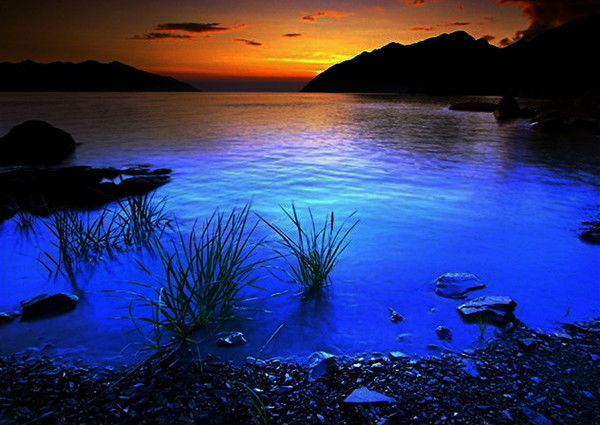 Михаил Гончаров