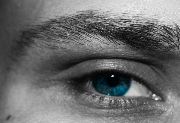 Максим Горох