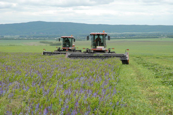 Спкк Салават Мелеузовский Р-Н