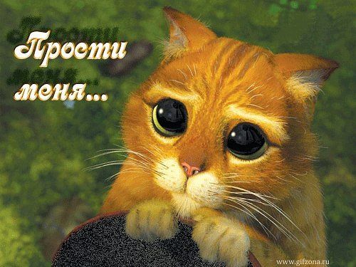 Андрей Попов