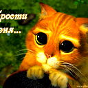 Андрей Попов