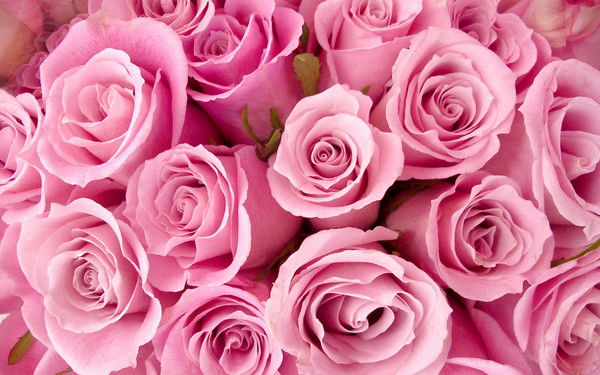 Жанара Рысбекова