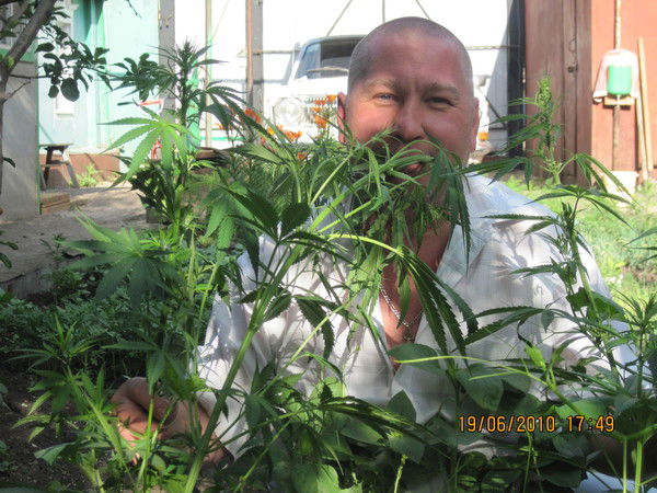 Александр Старков