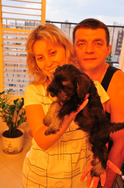 Дима Мoхнатов