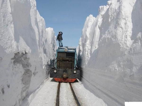 Евгений Гоманенко