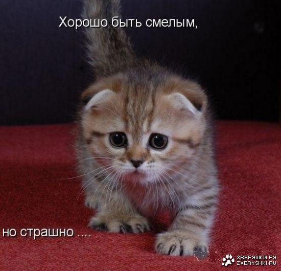 Карима Байсакалова