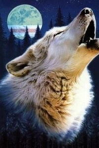 Сергей Степанов