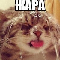 Александр Крестьянинов