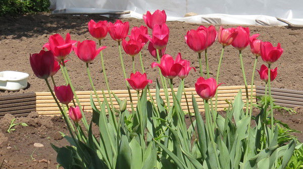 Любовь Казакова