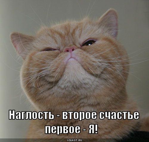 Максим Ш-Ов