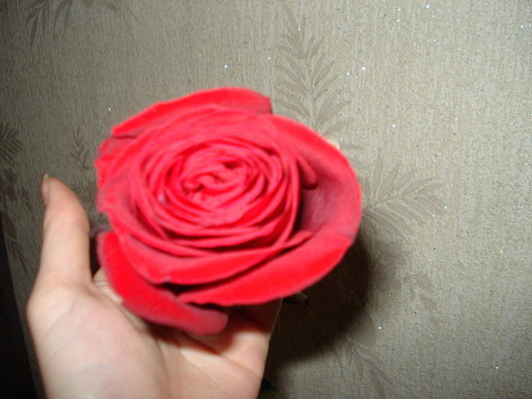 Кристина Сергеева