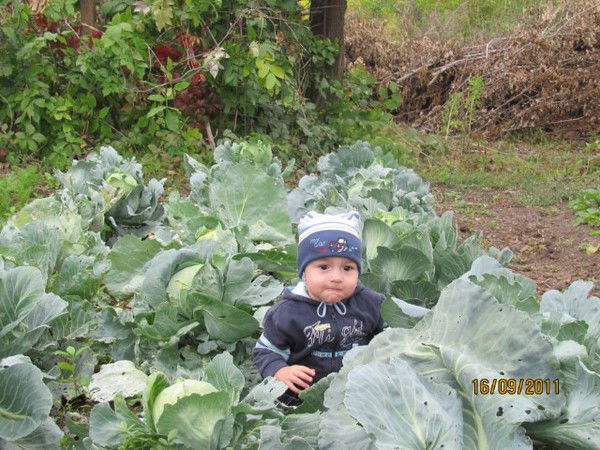 Сергей Чесноков