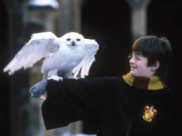 Евгений Григорьев