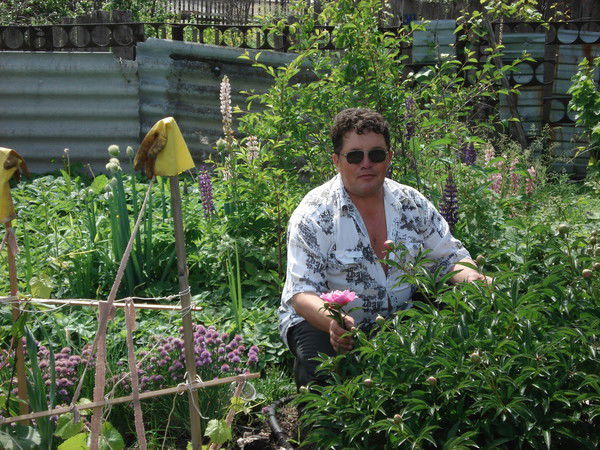 Александр Чижиков