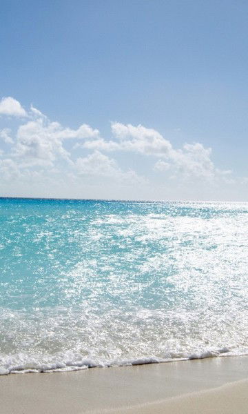 Илья Вдовин