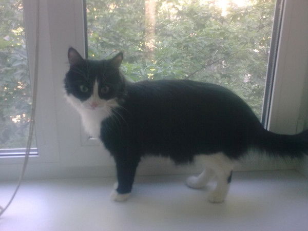 Татьяна Чикина