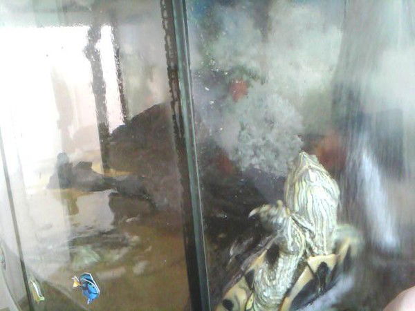 Антон Бузанаков