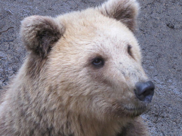 Aндрей Иванов