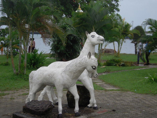 Ильшат Насибуллин