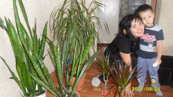 Айнура Моинбаева