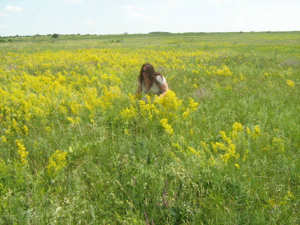 Ольга Гадание На Таро