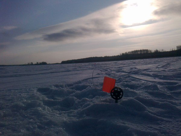 Юрий Терентьев