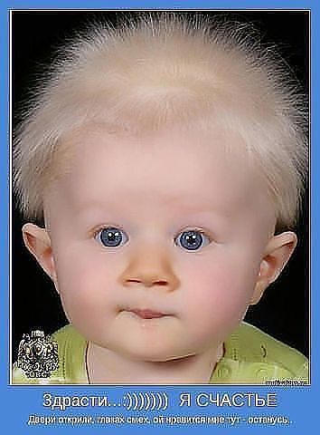 Николай Добрий