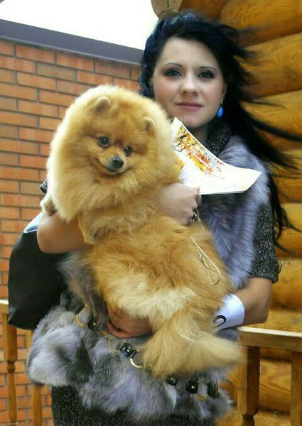 Елена Василевская