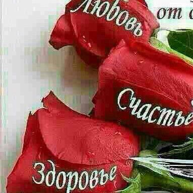 Айнур Утешова