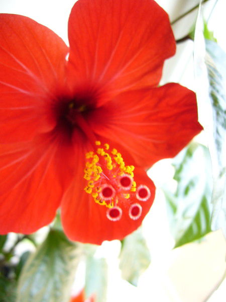 Александр Калинин