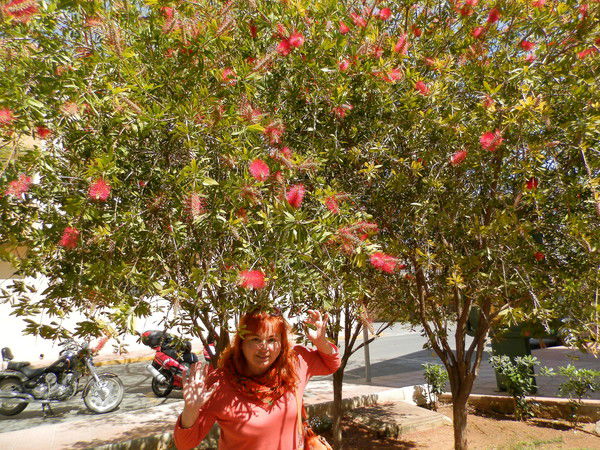 Ирина Васильевская