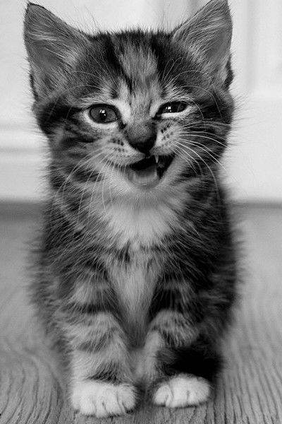 Жандаулет Пазылбеков