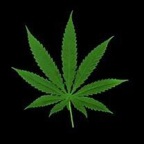 Павел Морозов