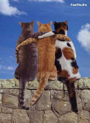 Берик Есенбеков