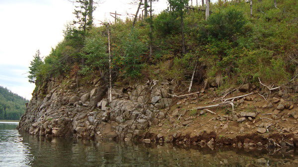 Алексей Пономарев